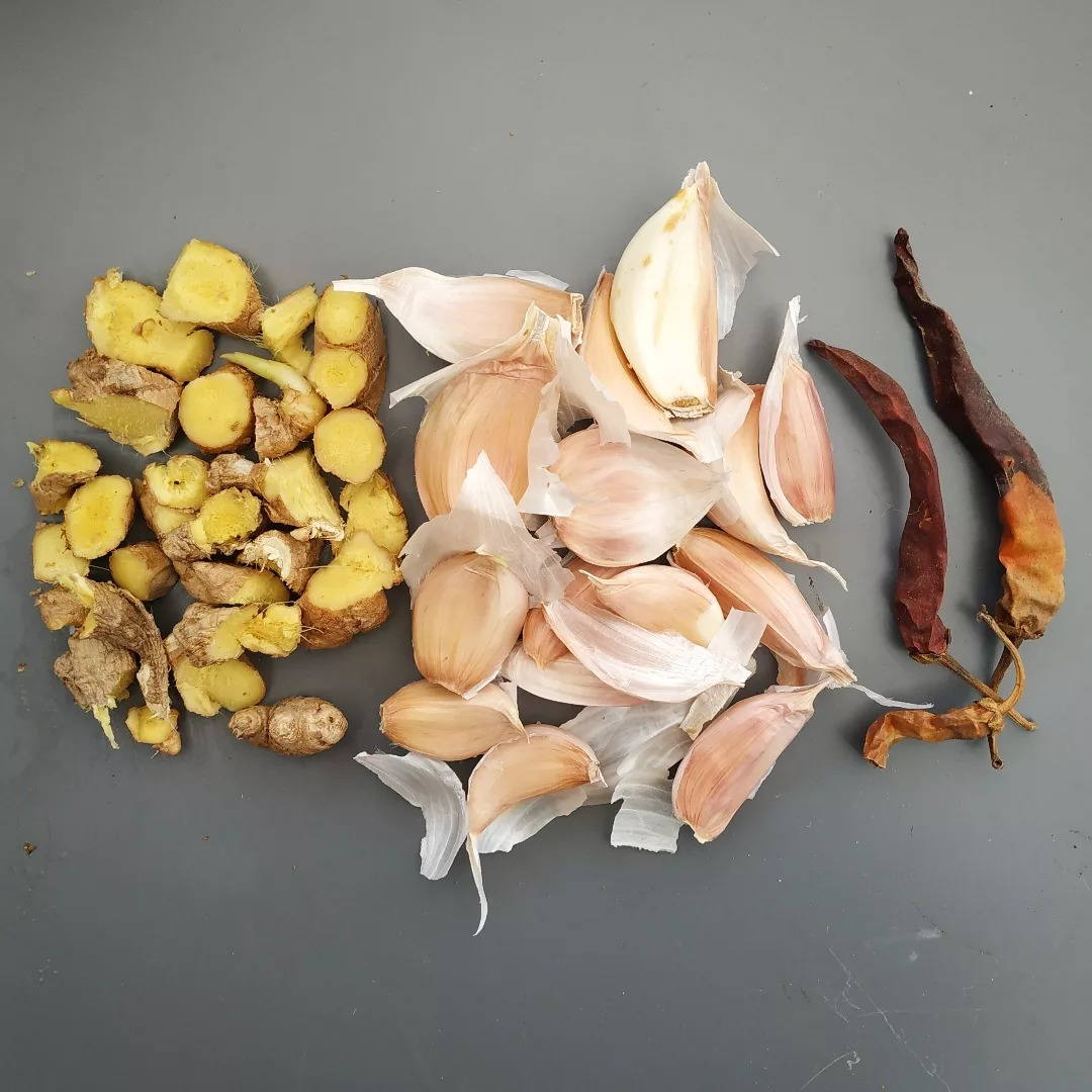 anti-limace naturel à base d'ail, gingembre et piment